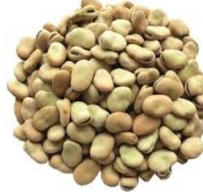 فروش باقلا تازه - باقالی - باقالا