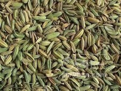 فروش زیره (گیاه‌ دارویی)