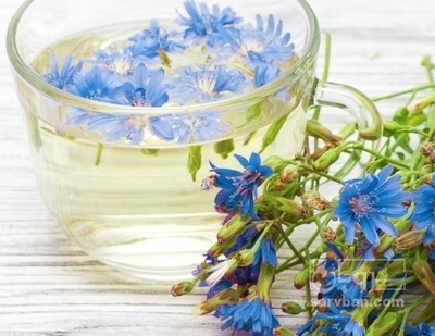 فروش کاسنی (گیاه‌ دارویی)