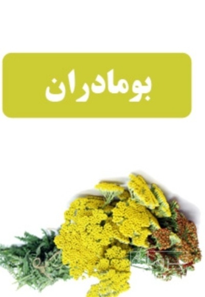 فروش عرق بومادران