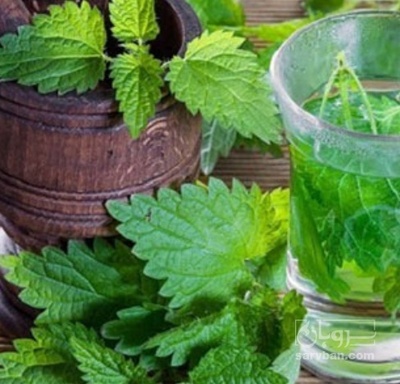 فروش عرق گزنه