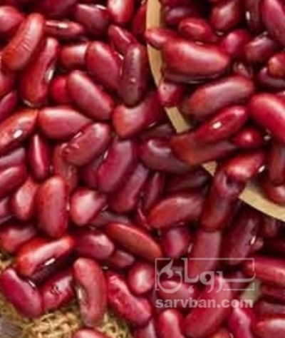 فروش لوبیا قرمز