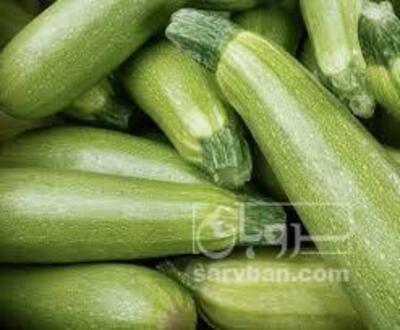 فروش کدو  سبز