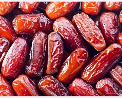 فروش خرماکلوته