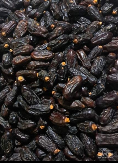 فروش خرما ربی