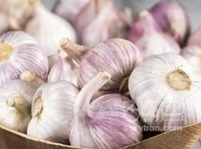 فروش سیر | سروبان
