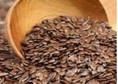 فروش کتان (گیاه الیافی)