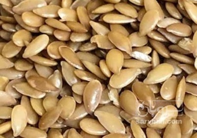 فروش کتان (گیاه الیافی)