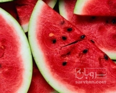 فروش هندوانه