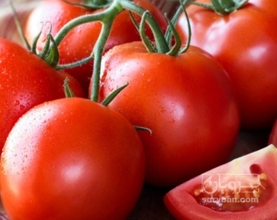فروش گوجه فرنگی