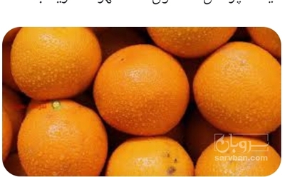 فروش پرتقال والنسیا