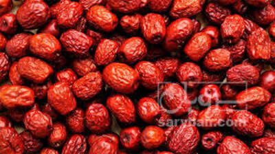 فروش عناب
