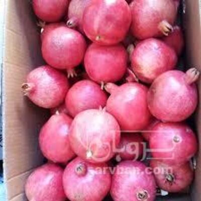 فروش انار