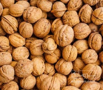 فروش گردو
