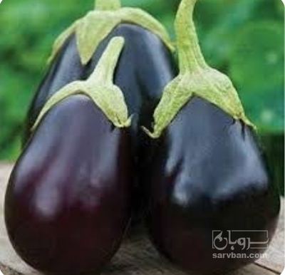 فروش بادمجان دلمه ای