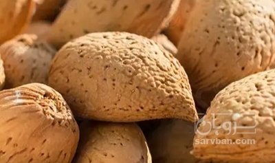 فروش بادام