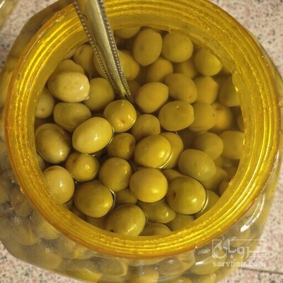 فروش زیتون سبز