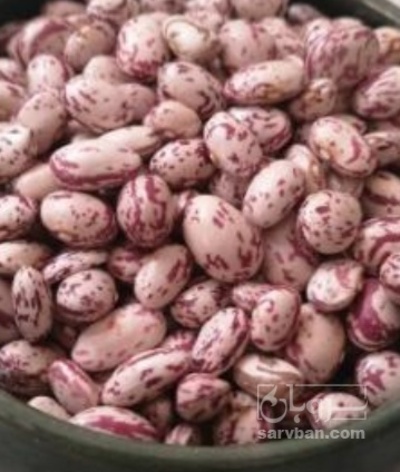 فروش لوبیا چیتی