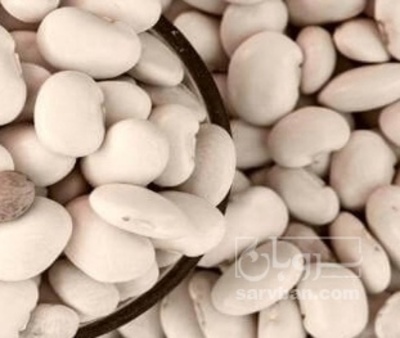 فروش لوبیا سفید