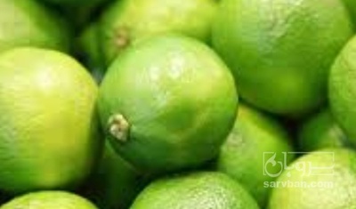 فروش لیموترش هکتاری