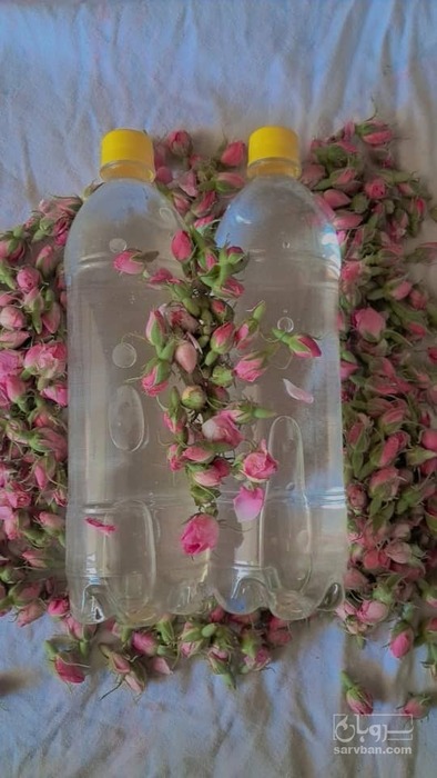 فروش عرق گلاب