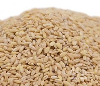 فروش گندم