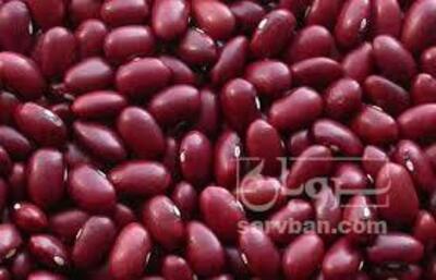 فروش لوبیا قرمز