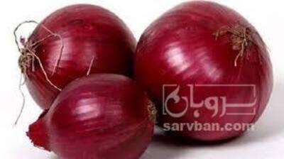 فروش پیازقرمز