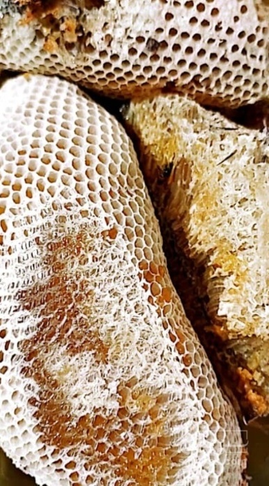 فروش عسل وحشی درمانی