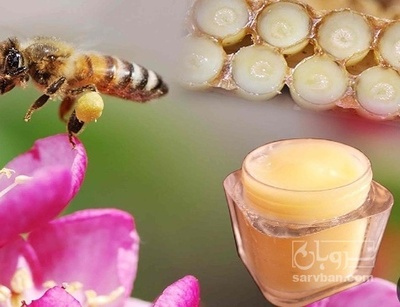 فروش ژل رویال