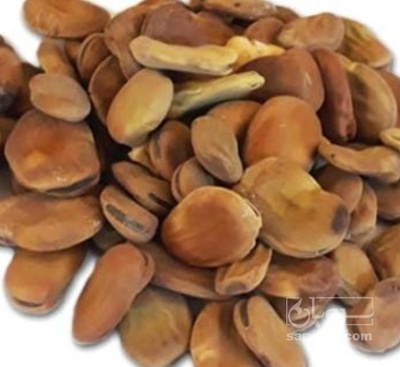 فروش باقلا تازه - باقالی - باقالا