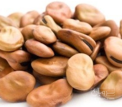 فروش باقلا تازه - باقالی - باقالا