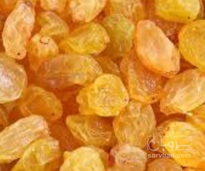 فروش کشمش گلدن