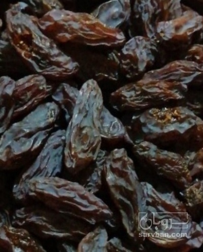 فروش مویز ابگیری