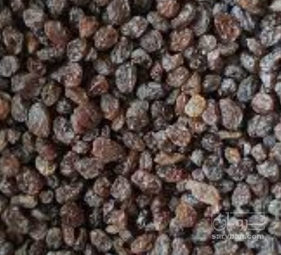 فروش کشمش پلویی