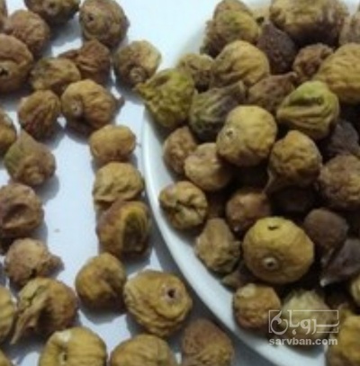فروش انجیر خشکM
