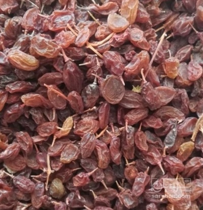 فروش کشمش انگور بی دانه سفید