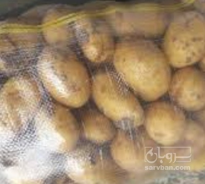 فروش سیب زمینی