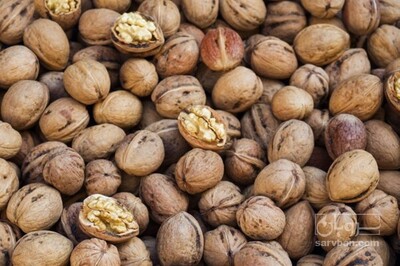 فروش گردو
