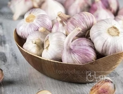 فروش سیر