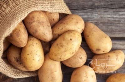 فروش سیب زمینی
