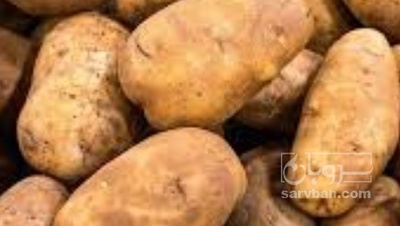 فروش سیب زمینی