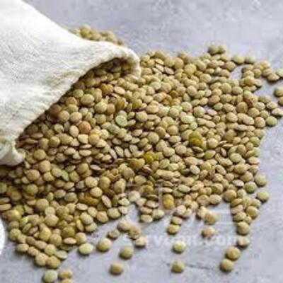 فروش عدس