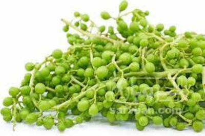 فروش غوره