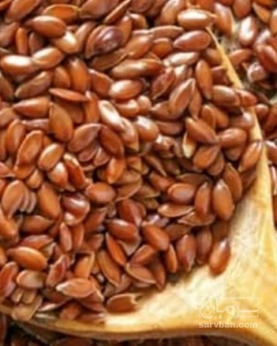 فروش کتان (گیاه الیافی)