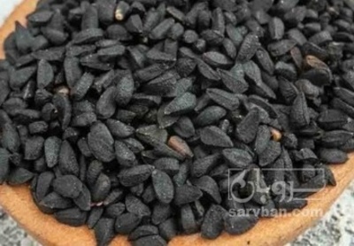 فروش سیاهدانه (گیاه‌ دارویی)