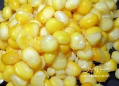 فروش ذرت دانه منجمد