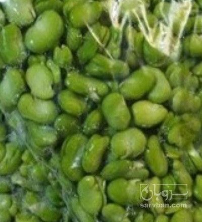 فروش باقلا لپه سبز