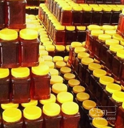 فروش عسل آویشن