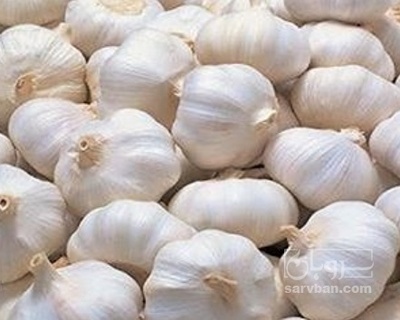 فروش سیر خشک سفید